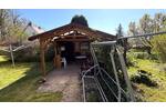 Charmantes Einfamilienhaus in ruhiger Lage am Rand von Erlau - Einfamilienhaus Erlau | Angebot:26997786