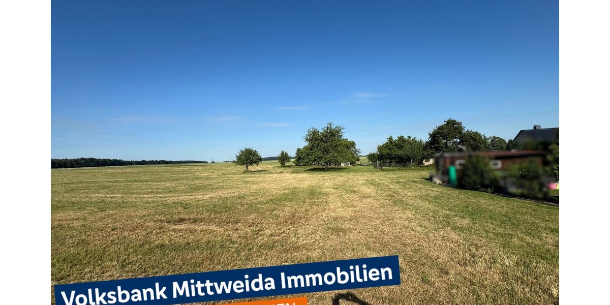 Grundstücksansicht Richtung Westen