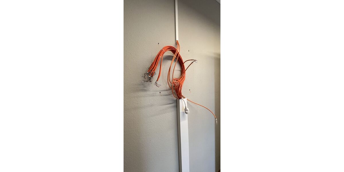 Netzwerkkabel