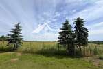 Bauernhof mit Platz und Ruhe - Bauernhaus, Landhaus Königsfeld | Angebot:27022814