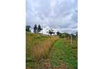 Gutshaus mit 2 Teichen und viel Land - Bauernhaus, Landhaus Lunzenau | Angebot:27425866