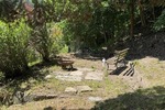 Teilsaniertes 2- Familienhaus mit Ausbaureserve und großem Grundstück in ruhiger Lage! - Zweifamilienhaus Waldheim | Angebot:26905386