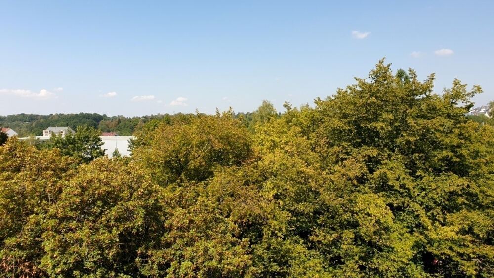 Ausblick vom 1. Kinder-/Arbeitszimmer